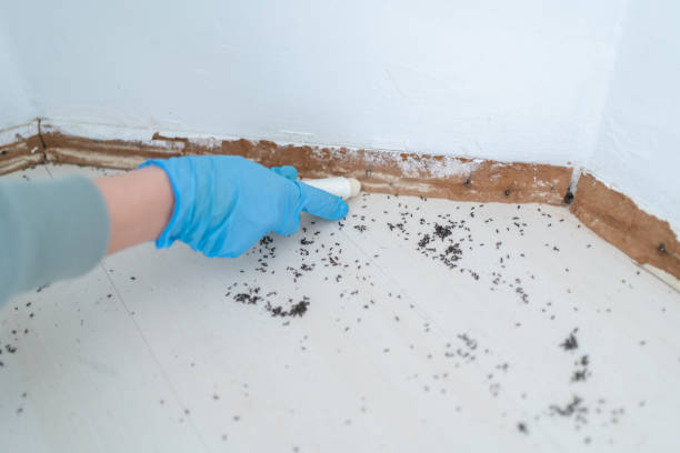 Best Best Pest Control Companies  in Pendleton, IN